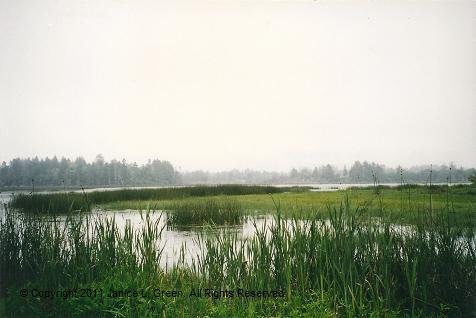 Lake talawa Kayaking