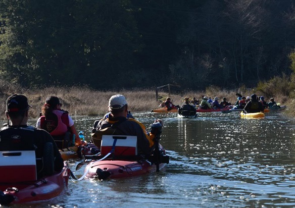 kayaking ryans slough