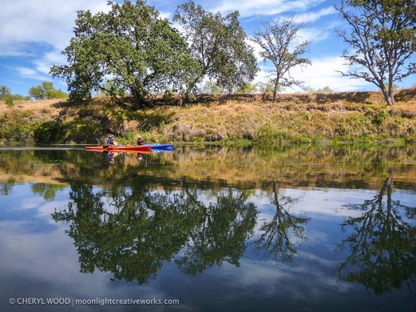 Kayaking the Lower Feather RIver