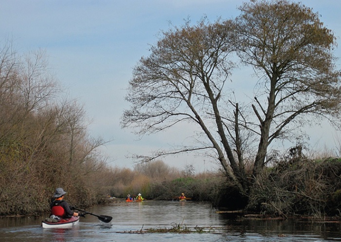 Sacramento River Kayaking