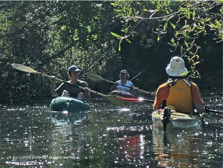 Tomales Bay Kayaking