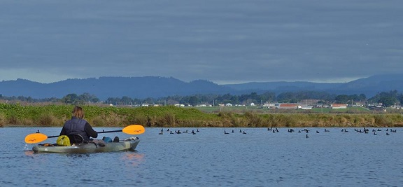 kayaking Mad River Slough