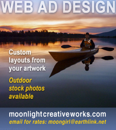 Web ad banner designs