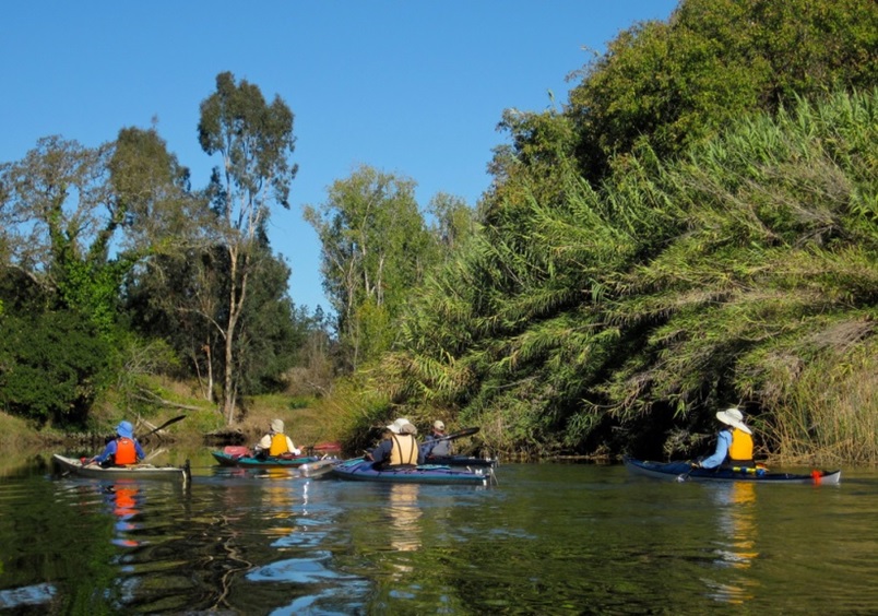 kayaking the Lower Napa River