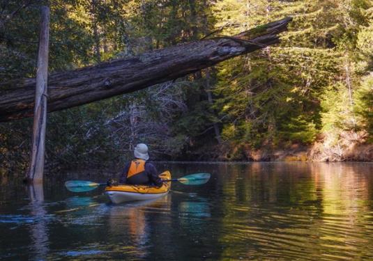 Best Places to Go Kayaking in California  250 Places to go Paddle Boarding  (SUP)and Canoeing in California